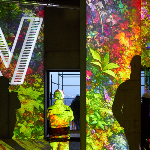 Topping Out Wonderwoods - ©Milan Hofmans, 2024 4 - horizontal.jpg